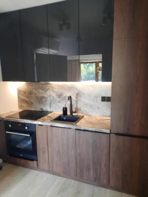 Apartament Latarnik- STANDARD in Gąski
